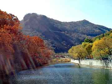 新澳天天开奖资料大全旅游团，便利店进货渠道